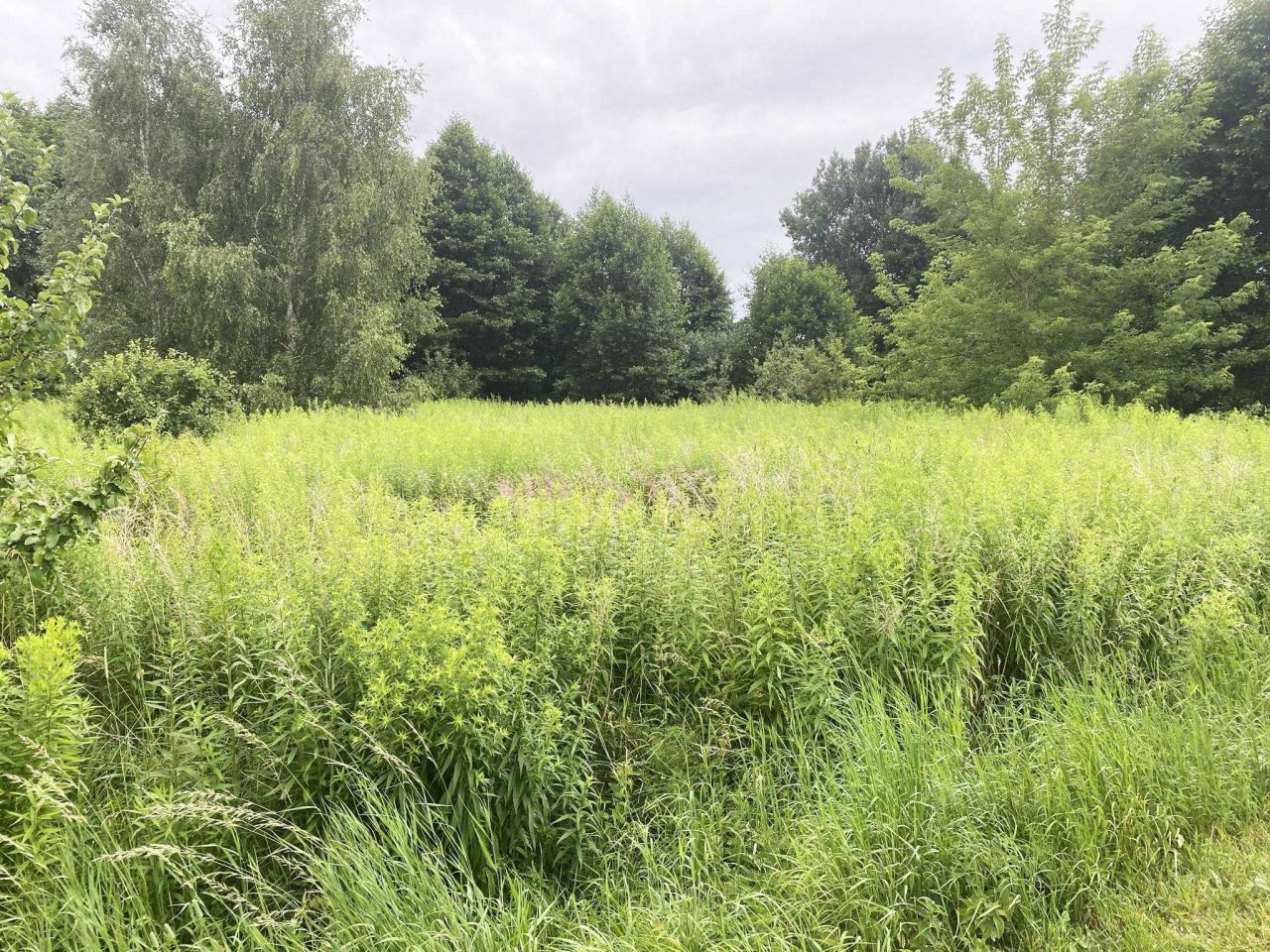 Działka rolno-budowlana Modlica. Zdjęcie 6