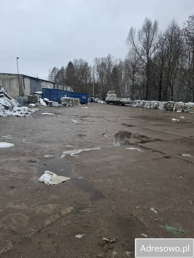 Działka inwestycyjna Filipów. Zdjęcie 3