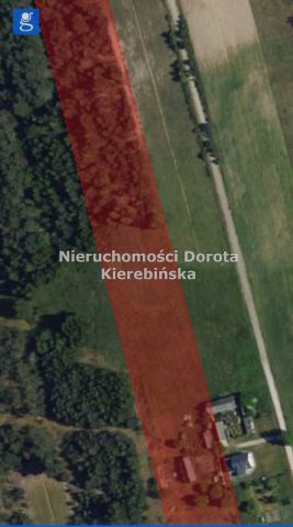 Działka Brzustów. Zdjęcie 16