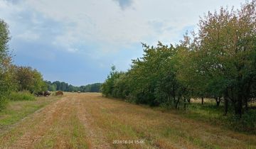 Działka Aleksandria