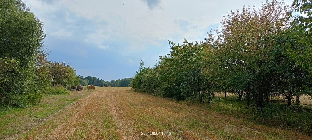 Działka Aleksandria. Zdjęcie 2