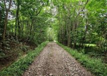 Działka rolna Puńców. Zdjęcie 2