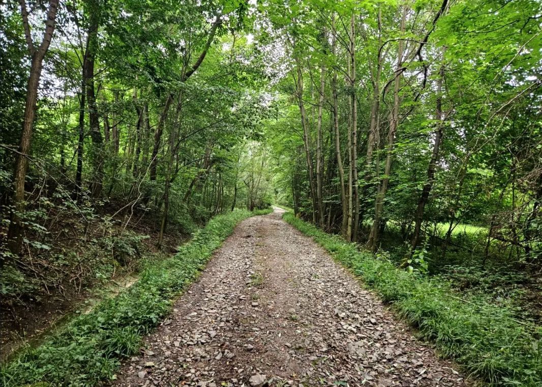 Działka rolna Puńców. Zdjęcie 3