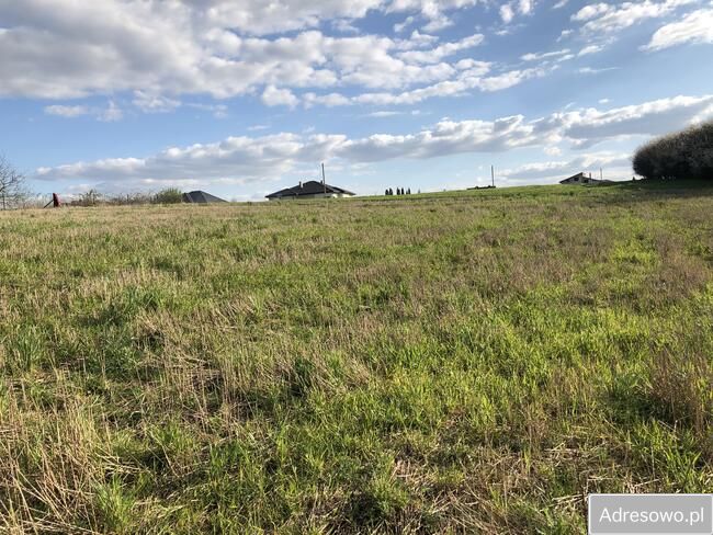 Działka budowlana Zarzeczewo Kulin. Zdjęcie 5