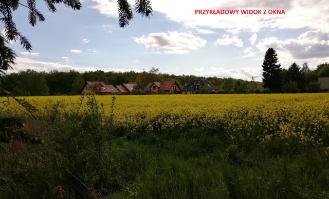 Działka budowlana Zabrze Mikulczyce, ul. Leśna. Zdjęcie 1
