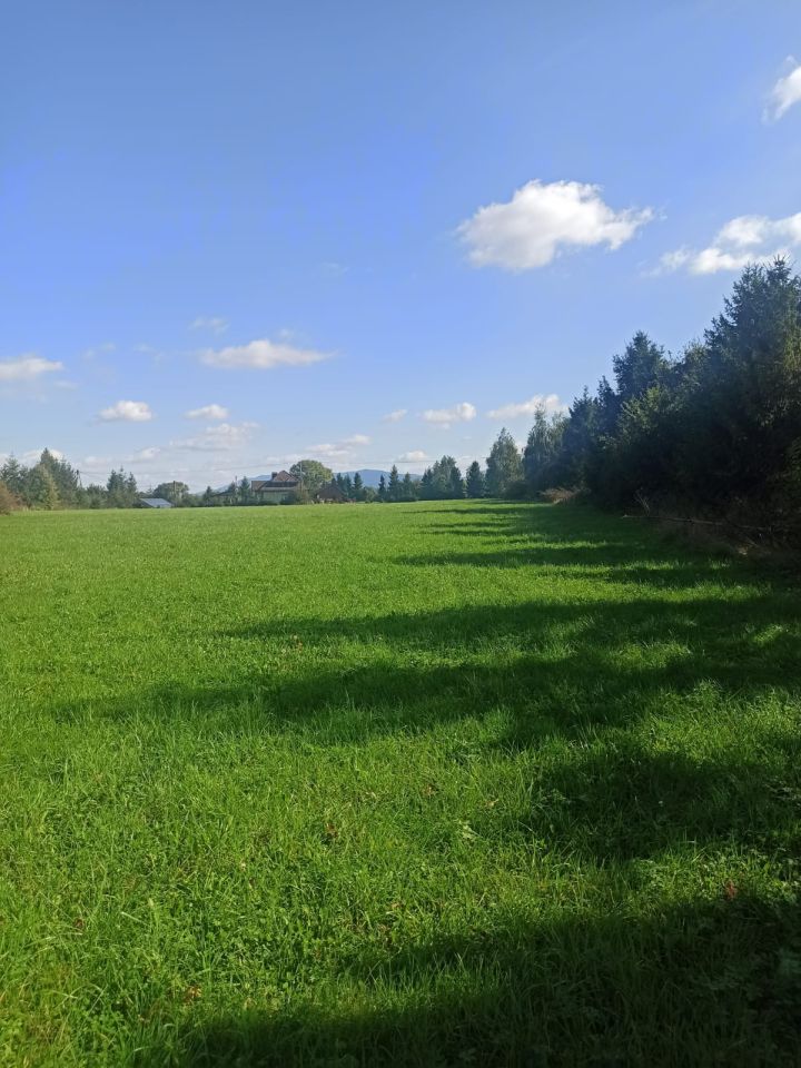 Działka rolno-budowlana Jasienica Wygrabowice. Zdjęcie 8