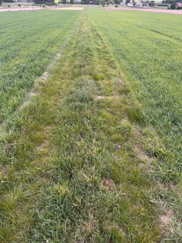 Działka rolna Krzyżanowice. Zdjęcie 1