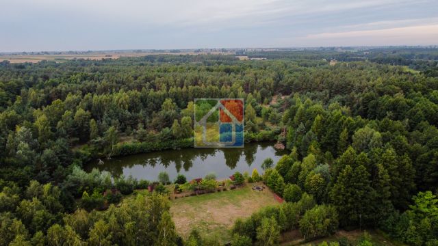 gospodarstwo, 17 pokoi Holendry Dobrowskie. Zdjęcie 6