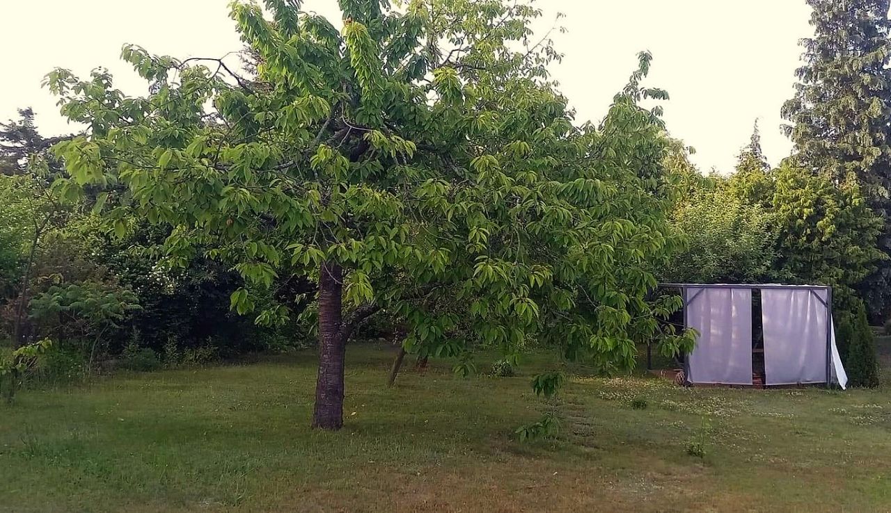 Działka rod Drzewianowo. Zdjęcie 16