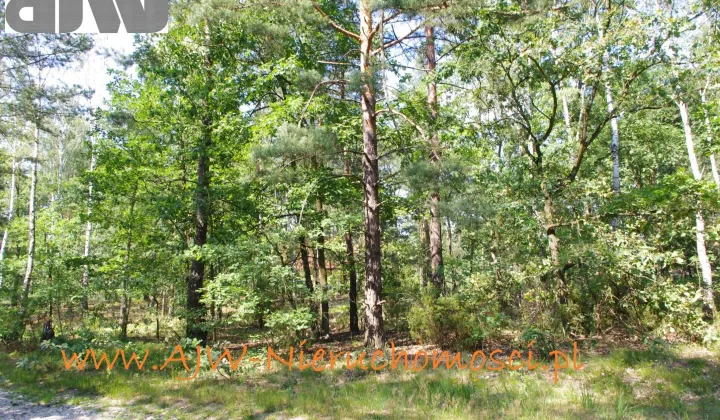 Działka budowlana Izabelin B