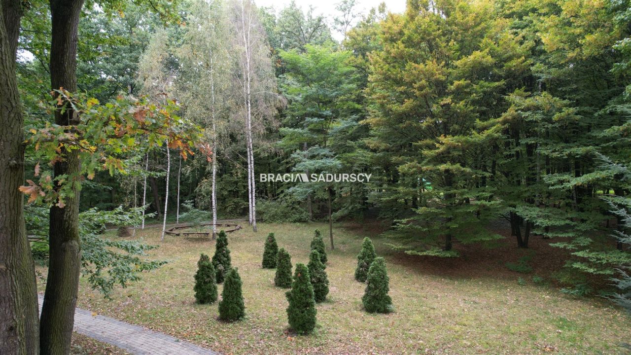 Działka inwestycyjna Słupiec. Zdjęcie 13