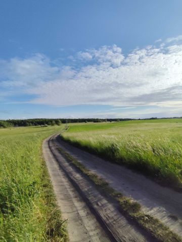 Działka rolno-budowlana Siedliska. Zdjęcie 1