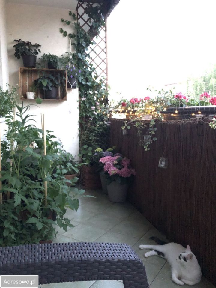 Mieszkanie 3-pokojowe Cieszyn, ul. Karola Szymanowskiego. Zdjęcie 16