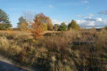 Działka rolna Jeziorki. Zdjęcie 4