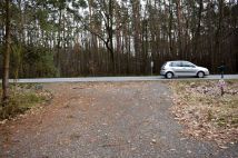 Działka leśna Smolarnia. Zdjęcie 3