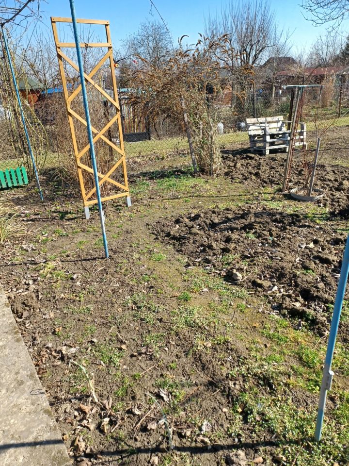 Działka rod Ostrowiec Świętokrzyski Częstocice, ul. Parkowa