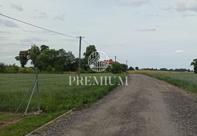 Działka inwestycyjna Dobrcz. Zdjęcie 2