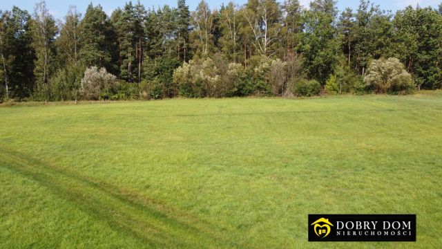 Działka budowlana Guty Rożyńskie. Zdjęcie 13