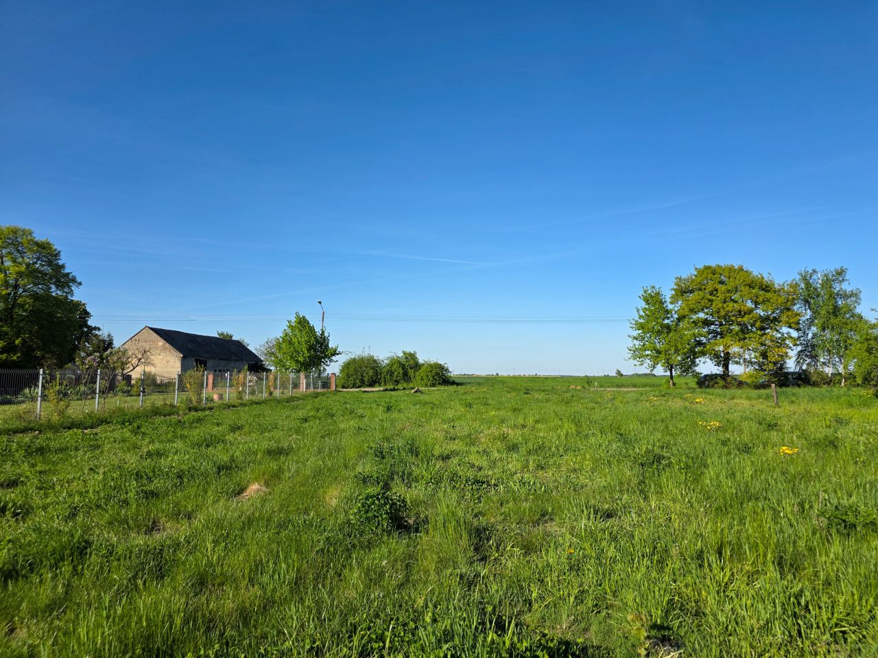 Działka budowlana Dryżyna. Zdjęcie 2
