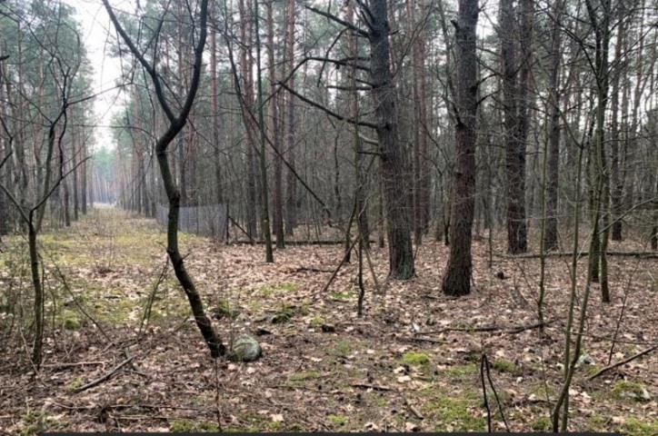 Działka budowlana Warszawa Wawer. Zdjęcie 1