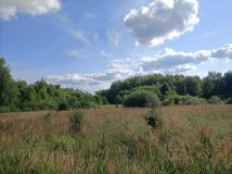 Działka rolna Rogóźno. Zdjęcie 2