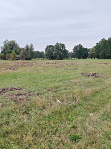 Działka rolno-budowlana Budy Zosine, ul. Armii Krajowej. Zdjęcie 5