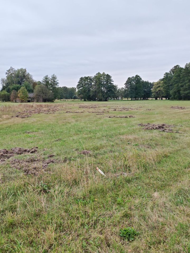 Działka rolno-budowlana Budy Zosine, ul. Armii Krajowej. Zdjęcie 5