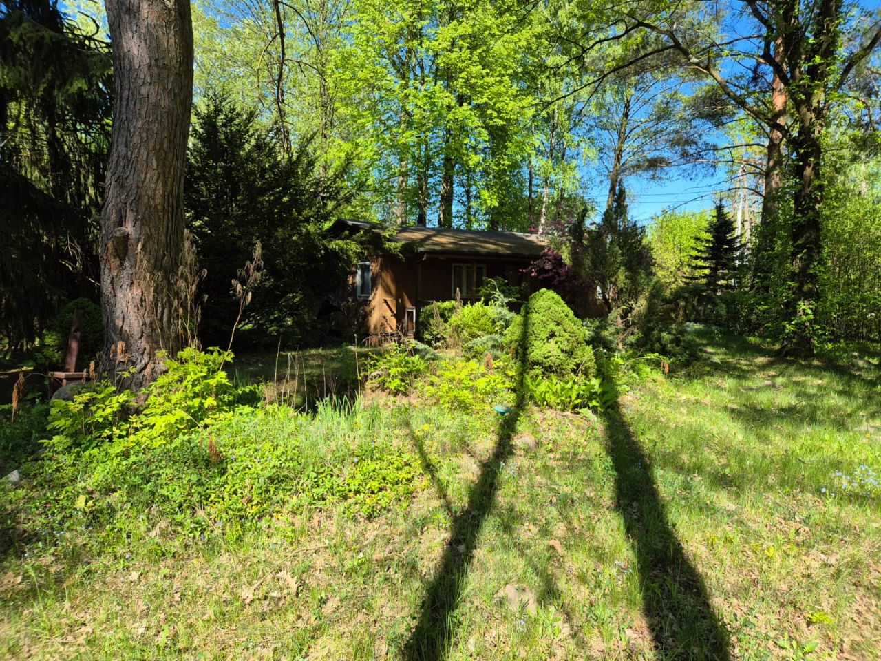 Działka rekreacyjna Popowo-Parcele, Dębowa. Zdjęcie 11