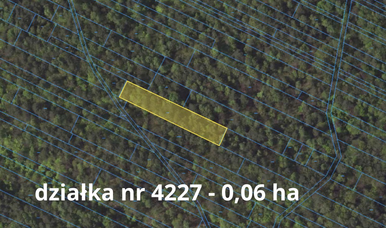 Działka leśna Krężnica Okrągła. Zdjęcie 8