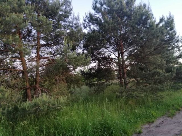 Działka budowlana Łochowice. Zdjęcie 1