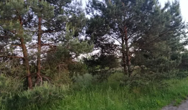 Działka budowlana Łochowice