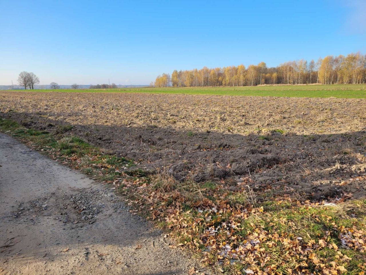 Działka budowlana Grabik. Zdjęcie 4