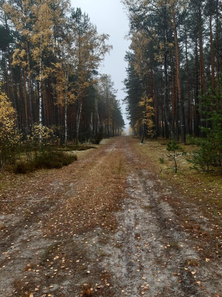 gospodarstwo, 3 pokoje Adampol, ul. Jana Pawła II. Zdjęcie 9