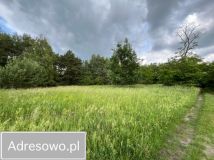 Działka Krosinko. Zdjęcie 2