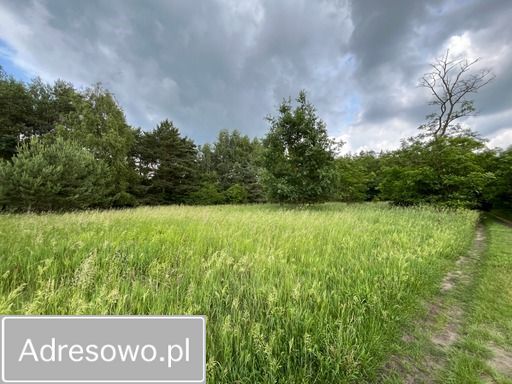 Działka Krosinko. Zdjęcie 3