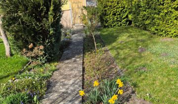 Działka rod Rumia, ul. Bema