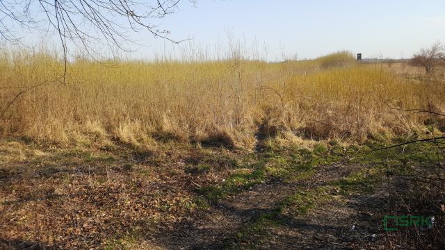 Działka inna Kaniów. Zdjęcie 4