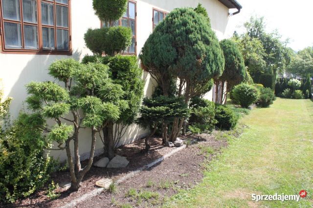 Działka budowlana Trojanowice, ul. Widokowa. Zdjęcie 1