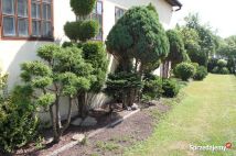 Działka budowlana Trojanowice, ul. Widokowa. Zdjęcie 1