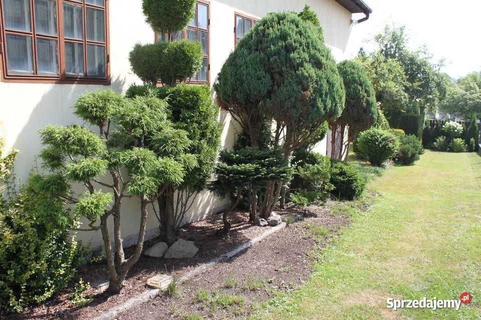 Działka budowlana Trojanowice, ul. Widokowa. Zdjęcie 11