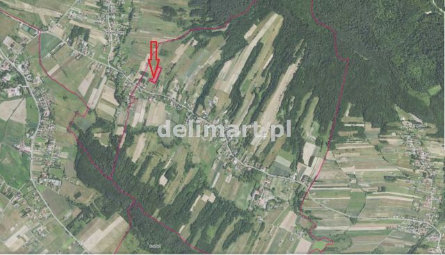 Działka budowlana Srogów Dolny. Zdjęcie 15