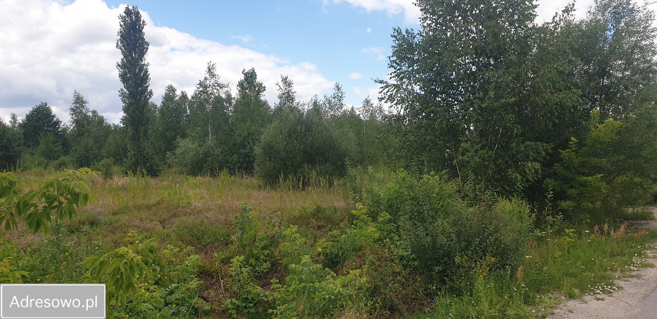 Działka inwestycyjna Serniki. Zdjęcie 9