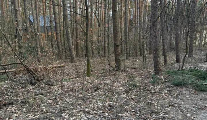 Działka Krasnobród