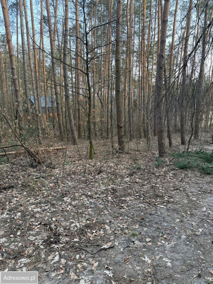 Działka Krasnobród. Zdjęcie 1