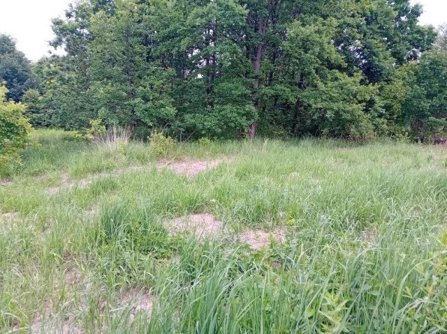 Działka rolna Starachowice, ul. Na Stoku. Zdjęcie 1