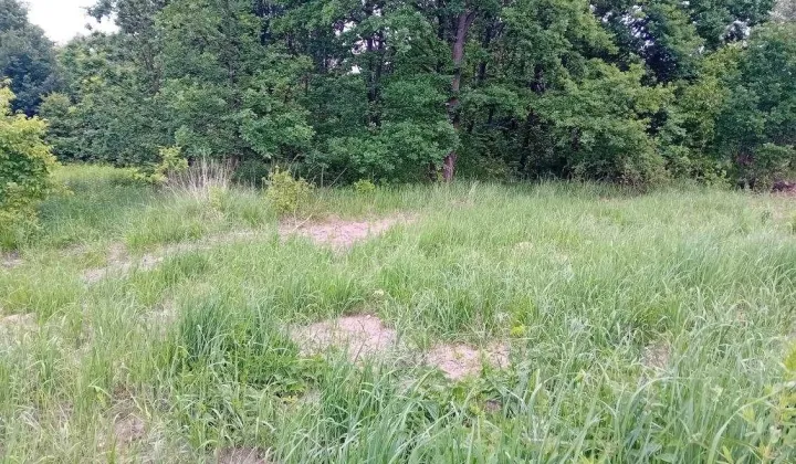 Działka rolna Starachowice, ul. Na Stoku