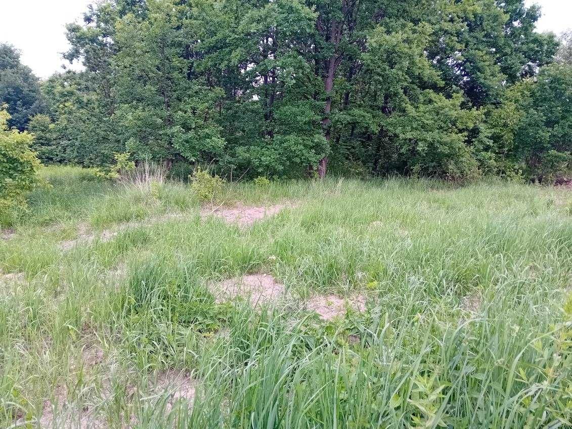 Działka rolna Starachowice, ul. Na Stoku. Zdjęcie 1