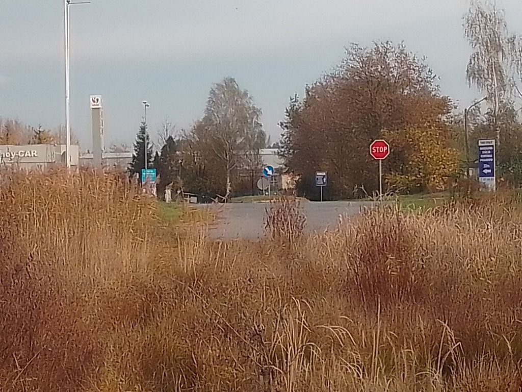 Działka rolno-budowlana Nysa Dolna Wieś, ul. Marszałka Józefa Piłsudskiego. Zdjęcie 8