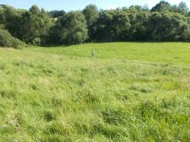 Działka rekreacyjna Wieprz. Zdjęcie 3