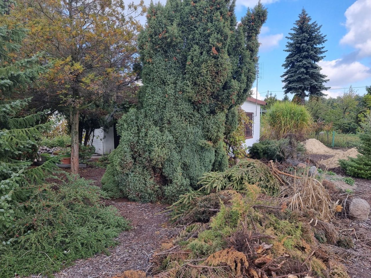 Działka rekreacyjna Poznań Chartowo. Zdjęcie 1